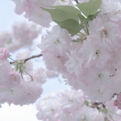 Furry角色互动设计福瑞交流群